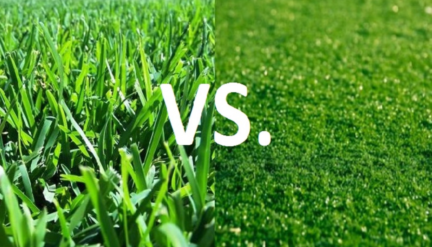 natural lawns VS portland artificial grass 
