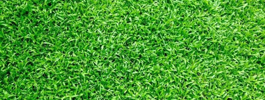 synthetic grass