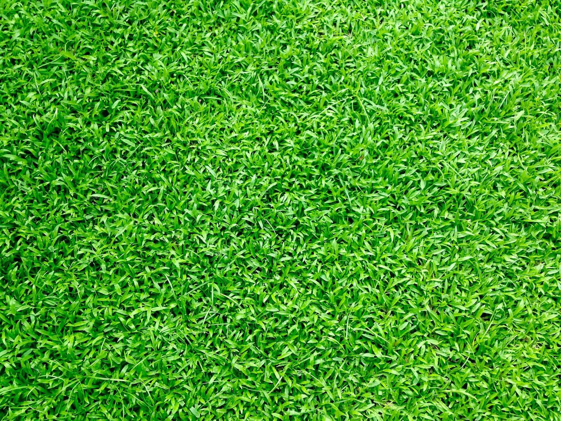 synthetic grass